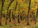 Without planning it, we had arrived in Fall, a wonderful time to visit Meteora.